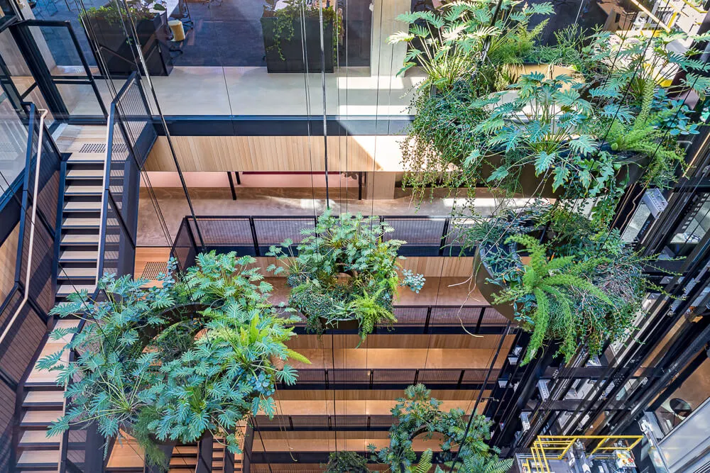 The interior of a multi-story building featuring an expansive curtain wall system